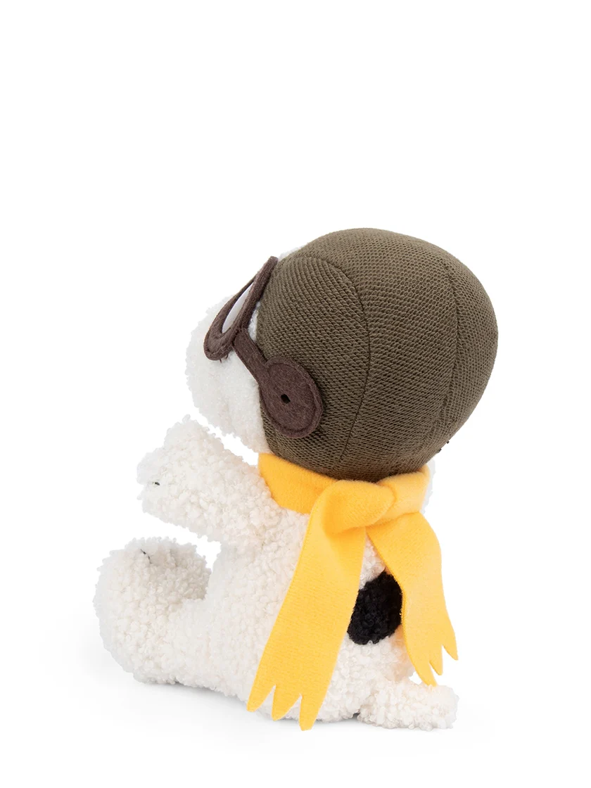Snoopy  – Der Pilot