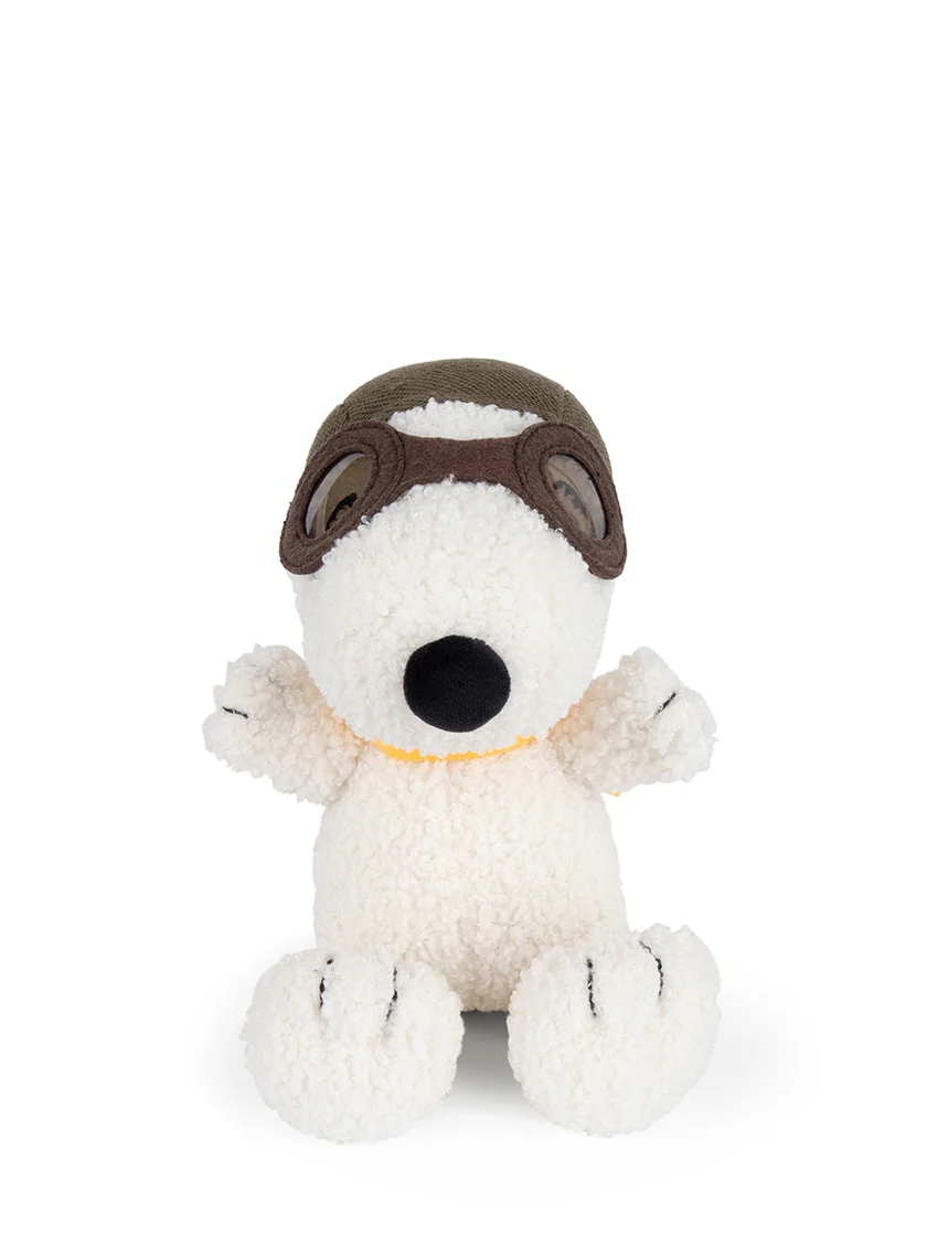 Snoopy  – Der Pilot